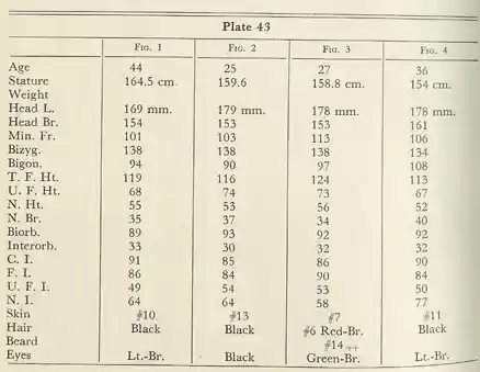 Plate 43